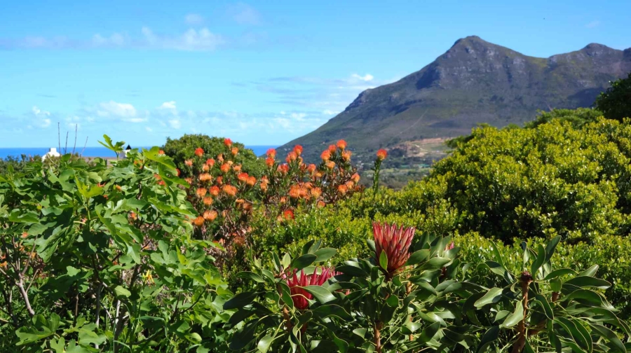 2 Bedroom Property for Sale in Crofters Valley Western Cape